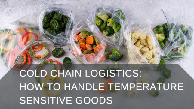 Cold Chain Logistics: How to Handle Temperature-Sensitive Goods