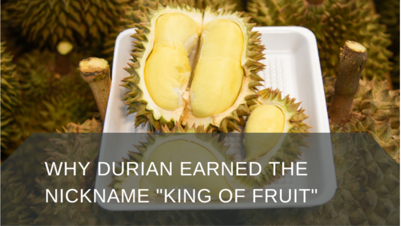 Why Durian Earned the Nickname "King of Fruit"