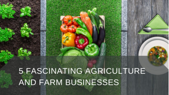 5 Fascinating Agriculture and Farm Businesses 