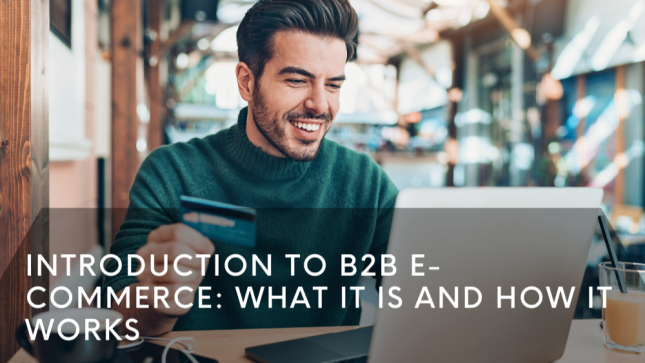 Introduction to B2B E-commerce: What It Is and How It Works