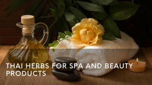 Thai Herbs for Spa and Beauty Products